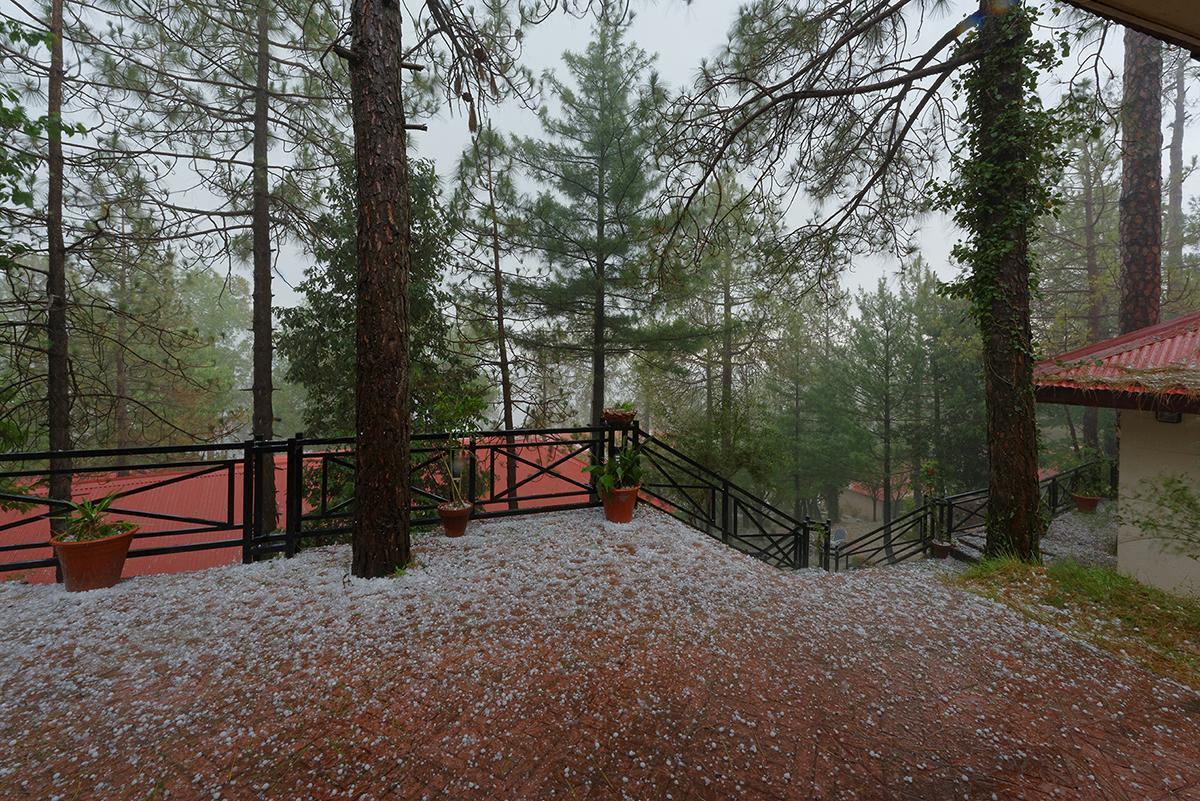 Arcadian Blue Pines Hotel Murree Exterior foto